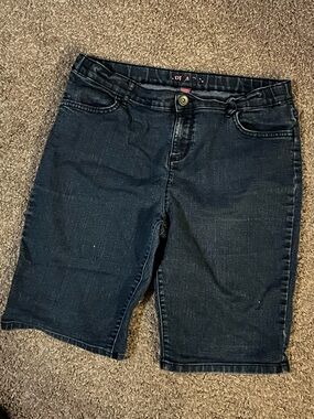 The Children's Place Dark Blue Denim Bermuda Shorts
